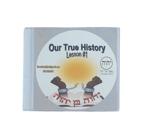 Our True History Lesson 1 - CD – N.O.Y Store
